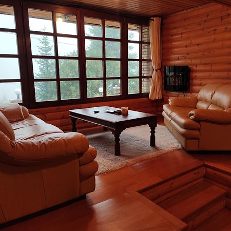 "Nest" The Wooden Suite By Ski Alure Eptalofos Bagian luar foto